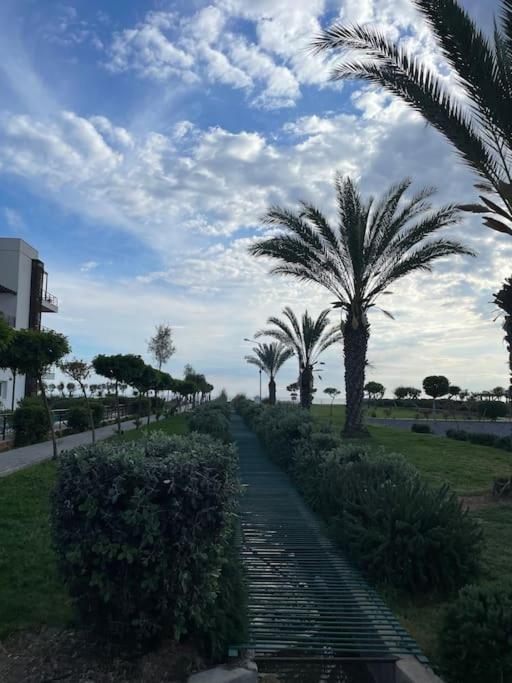 Large Super Lux Apartment In Thalassa Beach Resort Vokolidha Zewnętrze zdjęcie